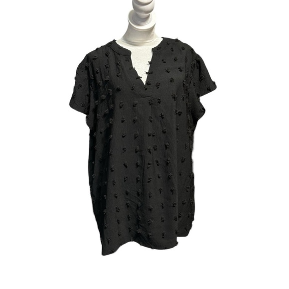 Women Ruffle Short Sleeve Blouse for Women V Neck Swiss Dot - Picture 1 of 4